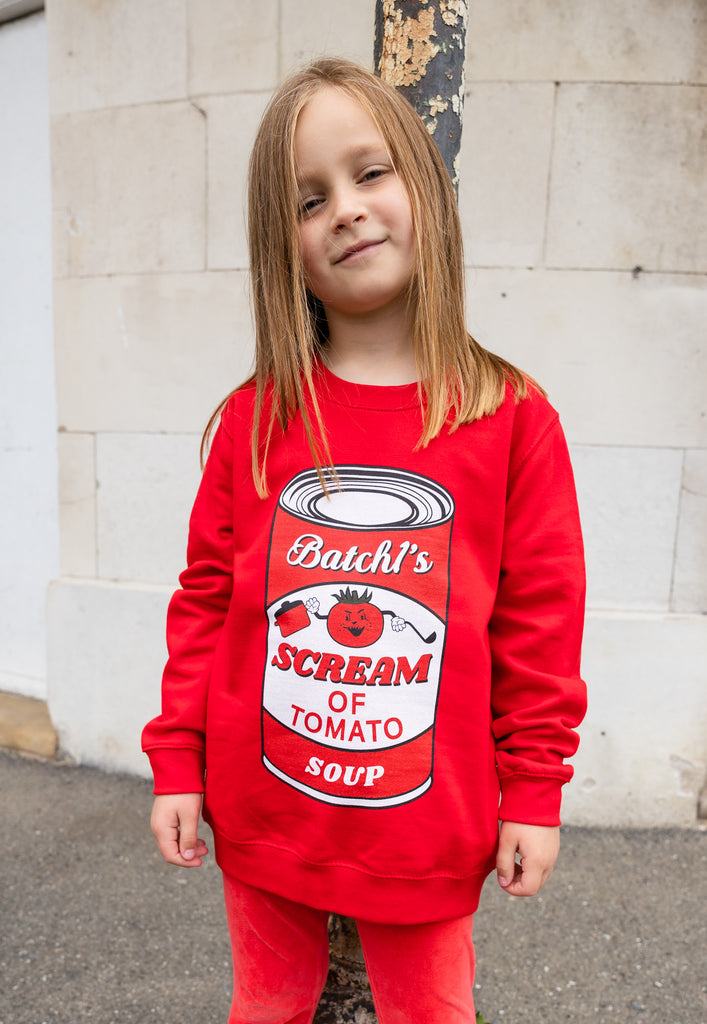 girl's trick or treat costume